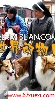 www.67xuexi.com