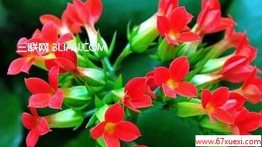 ٻϴȫ www.67xuexi.com