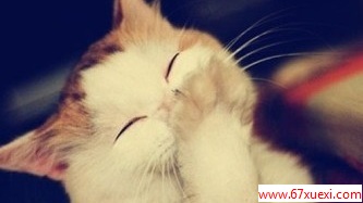 12ЩȳǷʴ˲ www.67xuexi.com