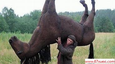һ仰¾Цײ                         www.67xuexi.com
