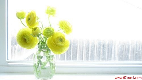 İ֮ήòԴ𰸰ɣ www.67xuexi.com