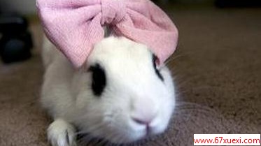 Цӣ˵լ                 www.67xuexi.com