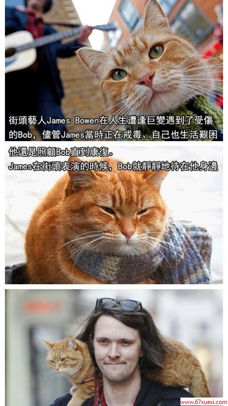 Ȥͼܺʮֻ| jiaren.org