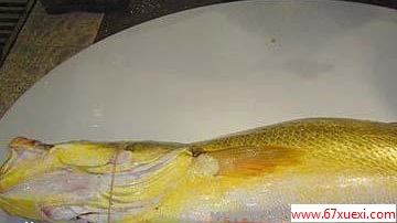 ʮʳĽ www.67xuexi.com