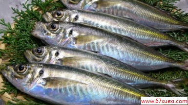 ȥˮζ www.67xuexi.com