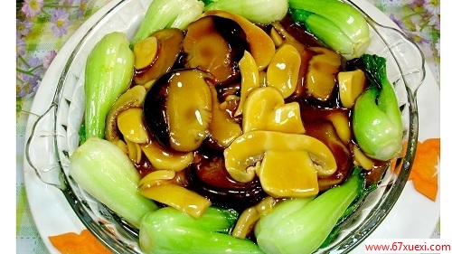 ˫ô www.67xuexi.com
