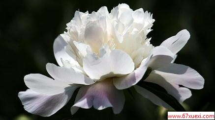 ֹЧ                       www.67xuexi.com