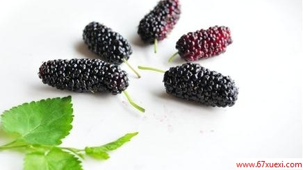 ɣ驹Ч                        www.67xuexi.com