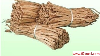 ιЧ 䶬ǿ www.67xuexi.com