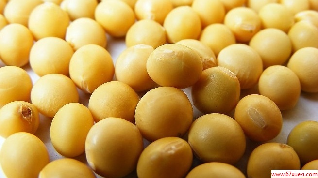 ¾ڼʲô www.67xuexi.com