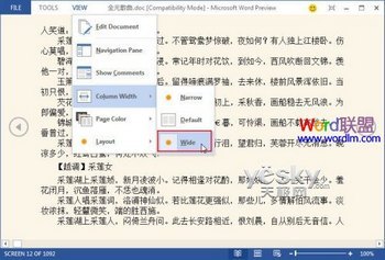 Word2013Ķģʽͼù