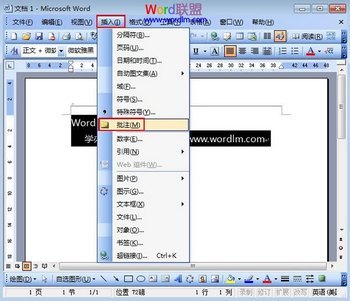 Word2003עʾ www.67xuexi.com