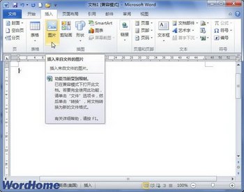 Word2010中插入可更新的图片链接教程    www.67xuexi.com