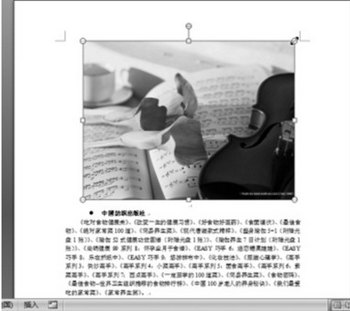 Word2007ͼƬС   www.67xuexi.com
