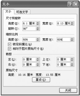 Word2007ͼƬС