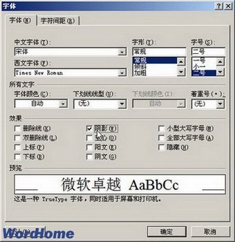 Word2007ӰЧ