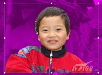 PSWord2010ͼƬǿ