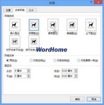 Word2013ֻѡ