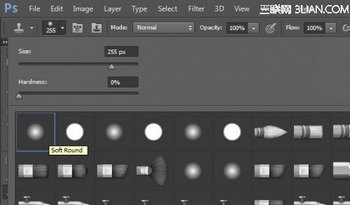 4 soft round 500x294 Create Abstract Photo Manipulation with Tree Bark Texture and Brush Elements