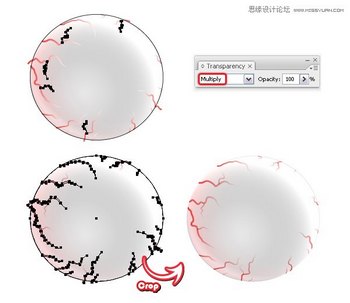 IllustratorʥڴѪ˿Ŀֲ,