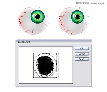 IllustratorʥڴѪ˿Ŀֲ,