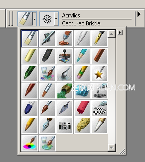 Painter̳֮ˢ www.67xuexi.com