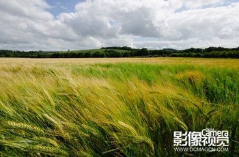 · Żͻ羰   www.67xuexi.com