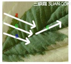 ӰţɫʵĻ֪ʶ   www.67xuexi.com