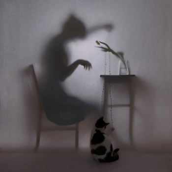 ùӰĳƬ