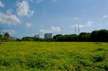 数字摄影的必备镜