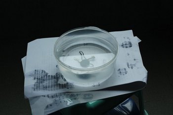 数字摄影的必备镜