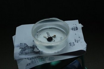 数字摄影的必备镜