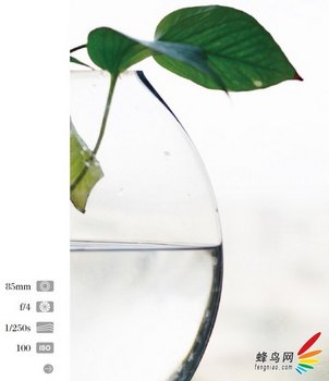 Ӯ Ƶߵ8