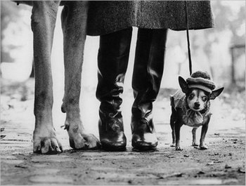 Elliott Erwitt ӰƷ