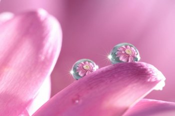 δ΢Ӱ˼άʽ www.67xuexi.com