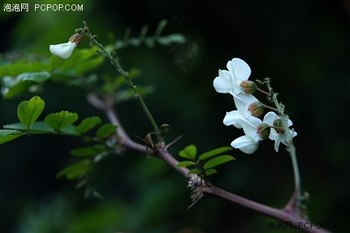 ʹõ΢Ƭ www.67xuexi.com